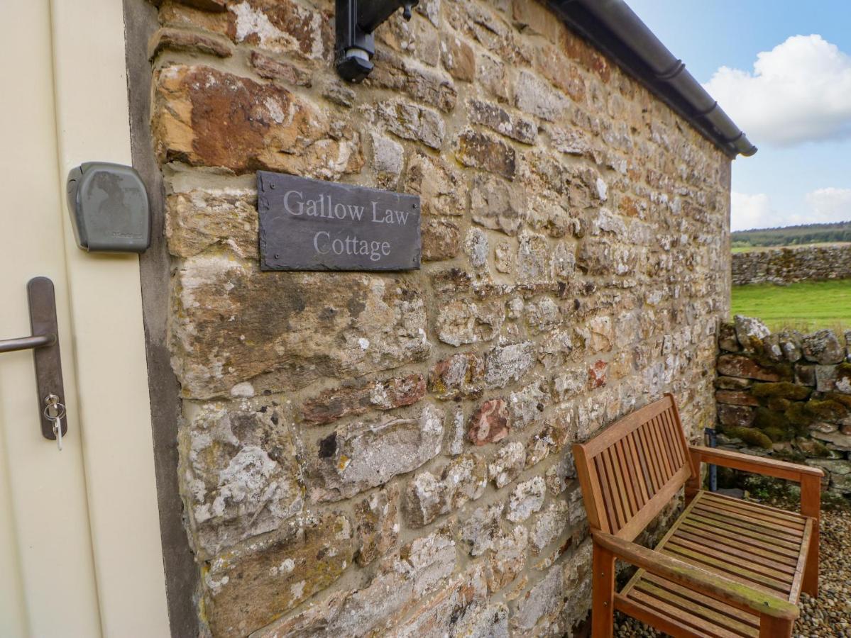 Gallow Law Cottage Greenhaugh المظهر الخارجي الصورة
